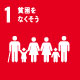 SDG 1