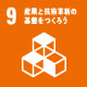 SDG 9