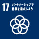 SDG 17